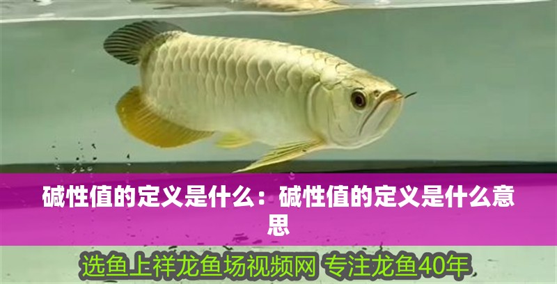 堿性值的定義是什么：堿性值的定義是什么意思