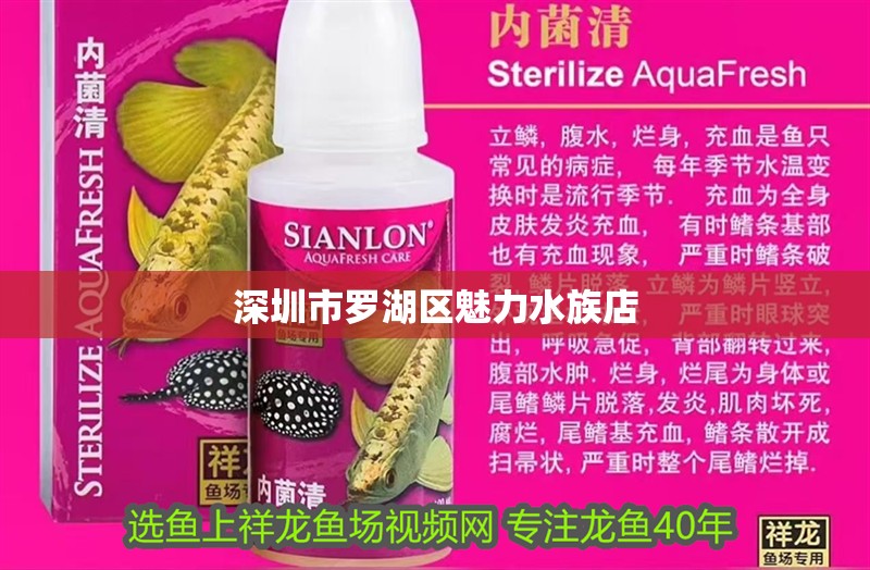 深圳市羅湖區魅力水族店