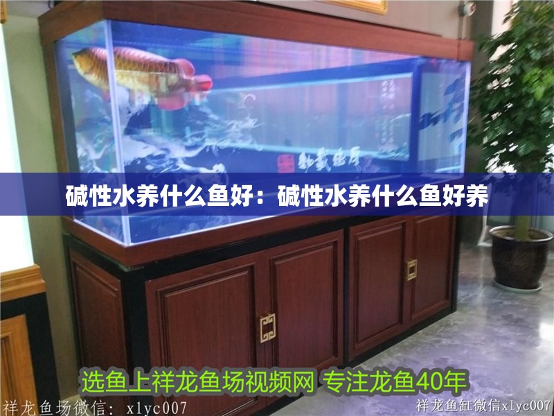 堿性水養什么魚好：堿性水養什么魚好養