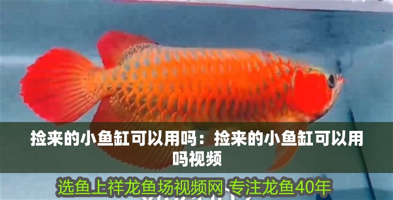 撿來的小魚缸可以用嗎：撿來的小魚缸可以用嗎視頻