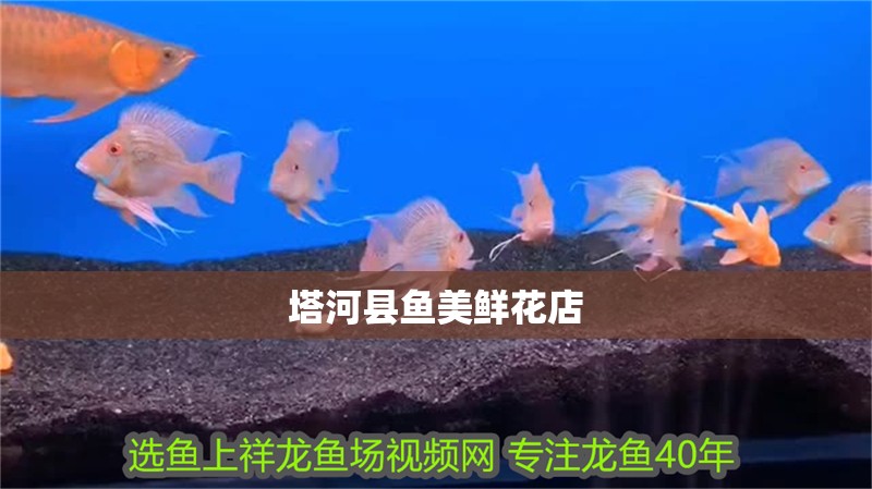 塔河縣魚(yú)美鮮花店