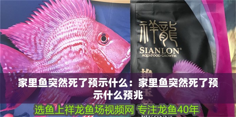 家里魚突然死了預(yù)示什么：家里魚突然死了預(yù)示什么預(yù)兆