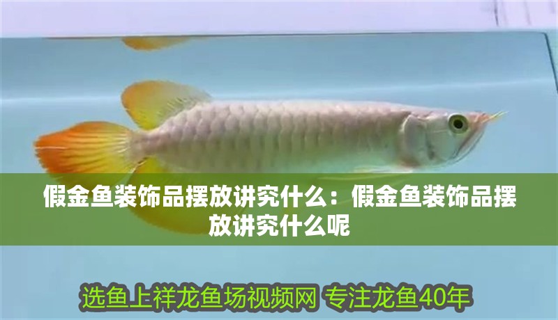 假金魚裝飾品擺放講究什么：假金魚裝飾品擺放講究什么呢 假金魚裝飾品擺放講究什么：假金魚裝飾品擺放講究什么呢 龍魚百科 第1張