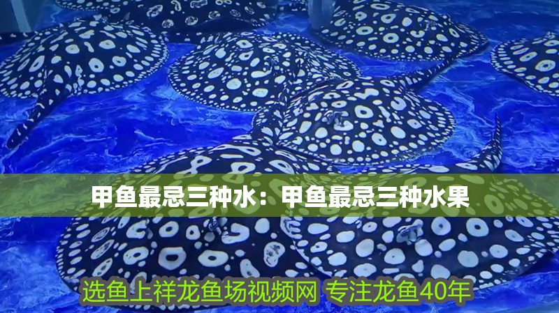 甲魚最忌三種水：甲魚最忌三種水果