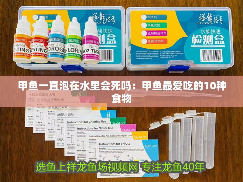 甲魚一直泡在水里會死嗎：甲魚最愛吃的10種食物