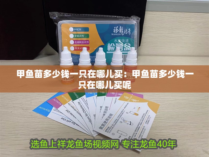 甲魚(yú)苗多少錢(qián)一只在哪兒買(mǎi)：甲魚(yú)苗多少錢(qián)一只在哪兒買(mǎi)呢