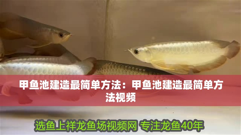 甲魚池建造最簡單方法：甲魚池建造最簡單方法視頻