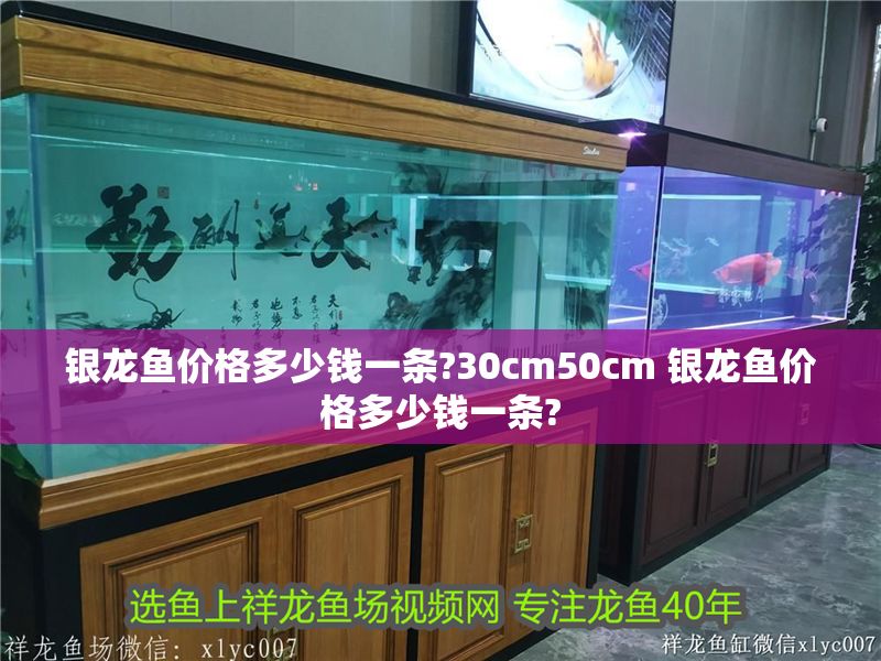 銀龍魚價格多少錢一條?30cm50cm 銀龍魚價格多少錢一條?