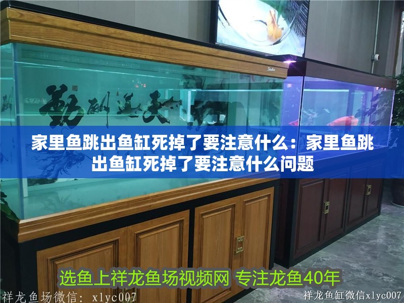 家里魚跳出魚缸死掉了要注意什么：家里魚跳出魚缸死掉了要注意什么問題