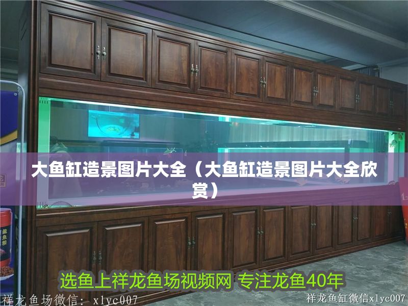 大魚缸造景圖片大全（大魚缸造景圖片大全欣賞）