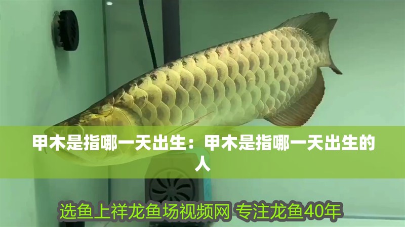 甲木是指哪一天出生：甲木是指哪一天出生的人