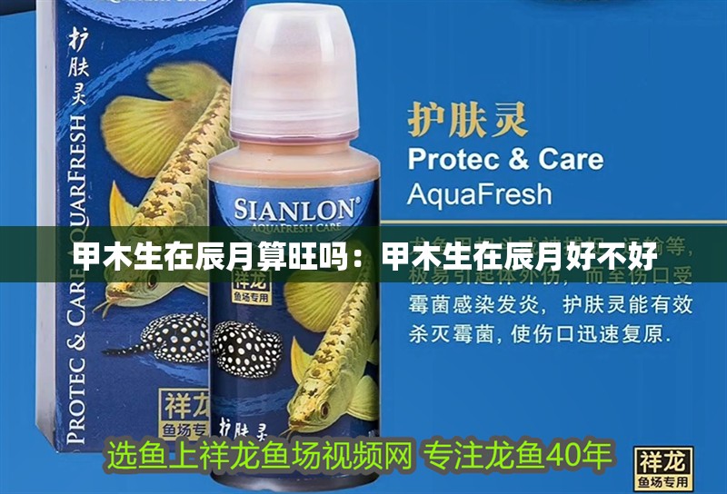 甲木生在辰月算旺嗎：甲木生在辰月好不好