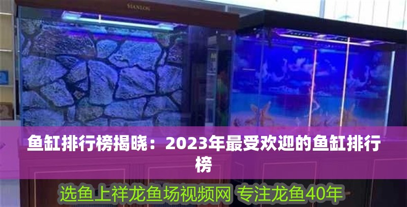 魚缸排行榜揭曉：2023年最受歡迎的魚缸排行榜 魚缸排行榜揭曉：2023年最受歡迎的魚缸排行榜 魚缸百科