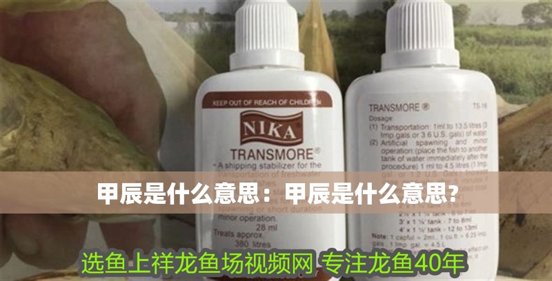 甲辰是什么意思：甲辰是什么意思?