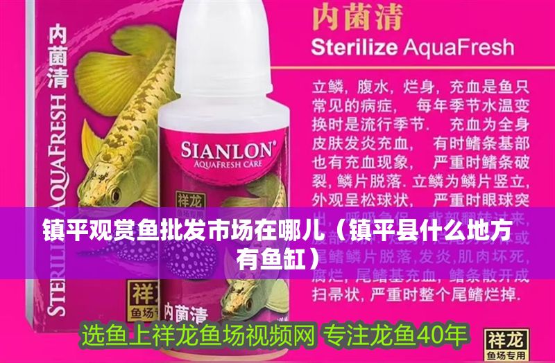 鎮(zhèn)平觀賞魚(yú)批發(fā)市場(chǎng)在哪兒（鎮(zhèn)平縣什么地方有魚(yú)缸） 鎮(zhèn)平觀賞魚(yú)批發(fā)市場(chǎng)在哪兒（鎮(zhèn)平縣什么地方有魚(yú)缸） 龍魚(yú)百科 第1張