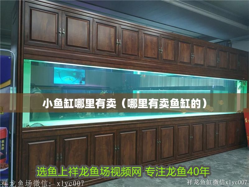 小魚缸哪里有賣（哪里有賣魚缸的）