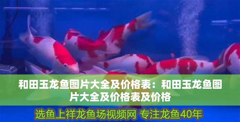 <strong><mark>和田</mark></strong>玉龍魚圖片大全及價格表：<strong><mark>和田</mark></strong>玉龍魚圖片大全及價格表及價格