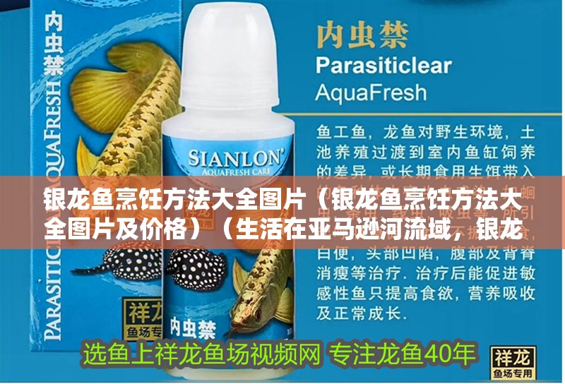 銀龍魚烹飪方法大全圖片（銀龍魚烹飪方法大全圖片及價格）（生活在亞馬遜河流域，銀龍魚的飼養(yǎng)方法是什么？） 銀龍魚烹飪方法大全圖片（銀龍魚烹飪方法大全圖片及價格）（生活在亞馬遜河流域，銀龍魚的飼養(yǎng)方法是什么？） 銀龍魚百科