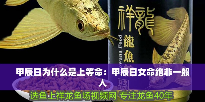 甲辰日為什么是上等命：甲辰日女命絕非一般人