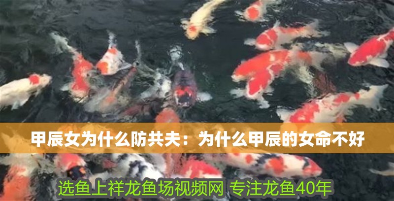 甲辰女為什么防共夫：為什么甲辰的女命不好