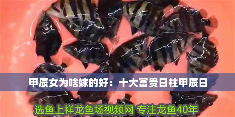 甲辰女為啥嫁的好：十大富貴日柱甲辰日