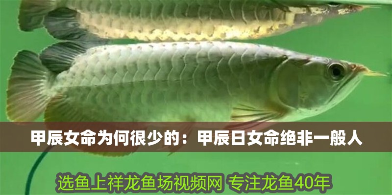 甲辰女命為何很少的：甲辰日女命絕非一般人