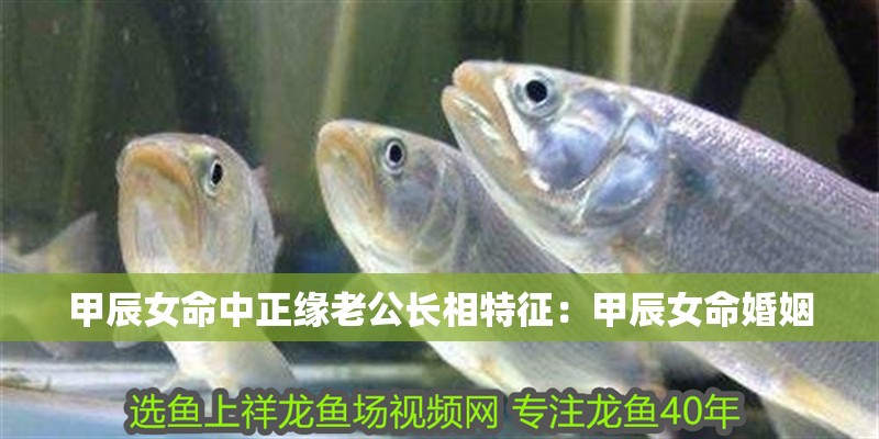 甲辰女命中正緣老公長相特征：甲辰女命婚姻