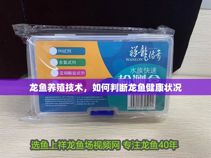 龍魚養殖技術，如何判斷龍魚健康狀況