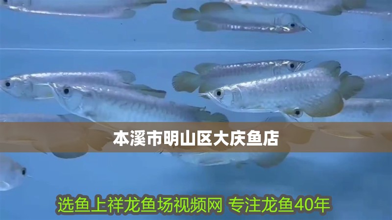 本溪市明山區(qū)大慶魚店