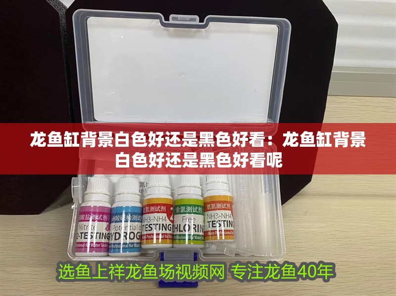 龍魚缸背景白色好還是黑色好看：龍魚缸背景白色好還是黑色好看呢