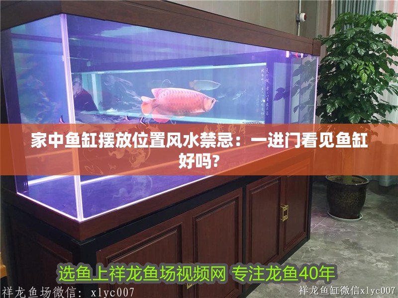 家中魚缸擺放位置風水禁忌：一進門看見魚缸好嗎?