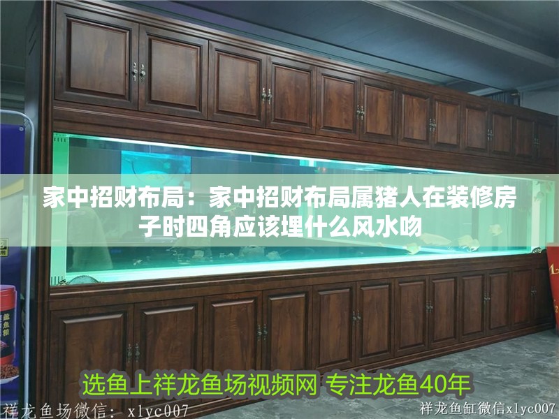 家中招財布局:家中招財布局屬豬人在裝修房子時四角應該埋什么風水吻 龍魚百科 第2張 家中招財布局:家中招財布局屬豬人在裝修房子時四角應該埋什么風水吻 家中招財布局:家中招財布局屬豬人在裝修房子時四角應該埋什么風水吻 龍魚百科 第2張