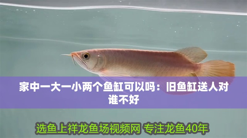 家中一大一小兩個魚缸可以嗎：舊魚缸送人對誰不好 家中一大一小兩個魚缸可以嗎：舊魚缸送人對誰不好 龍魚百科 第2張