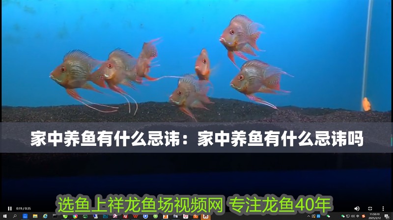 家中養(yǎng)魚有什么忌諱：家中養(yǎng)魚有什么忌諱嗎