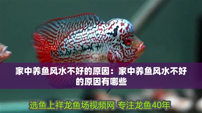 家中養(yǎng)魚風(fēng)水不好的原因：家中養(yǎng)魚風(fēng)水不好的原因有哪些
