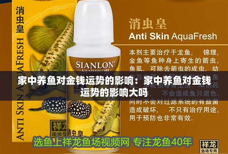 家中養(yǎng)魚對金錢運勢的影響：家中養(yǎng)魚對金錢運勢的影響大嗎