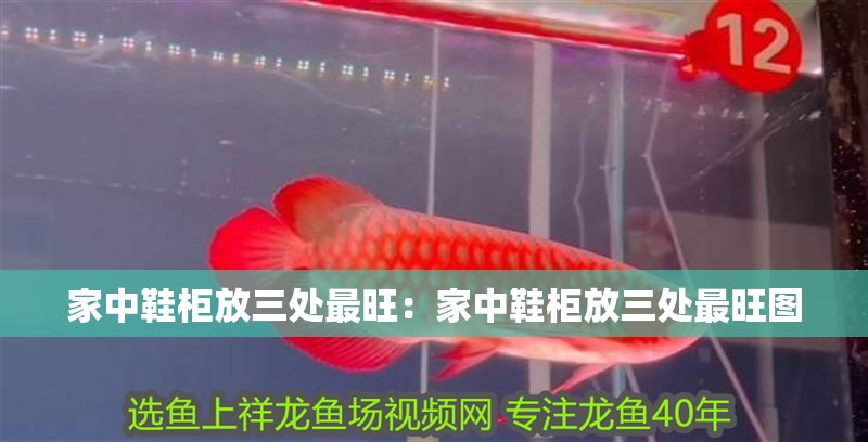 家中鞋柜放三處最旺：家中鞋柜放三處最旺圖 家中鞋柜放三處最旺：家中鞋柜放三處最旺圖 龍魚百科 第2張