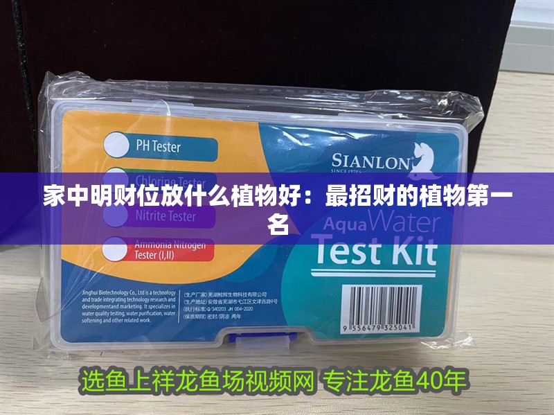 家中明財位放什么植物好：最招財的植物第一名