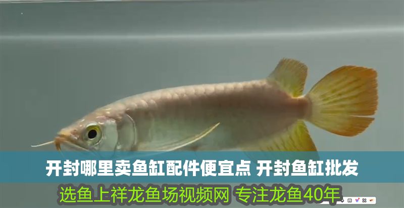 開封哪里賣魚缸配件便宜點 開封魚缸批發