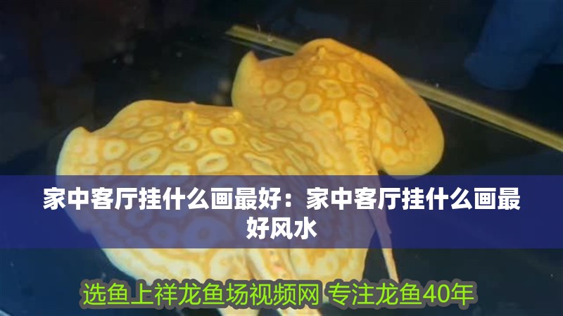 家中客廳掛什么畫(huà)最好：家中客廳掛什么畫(huà)最好風(fēng)水