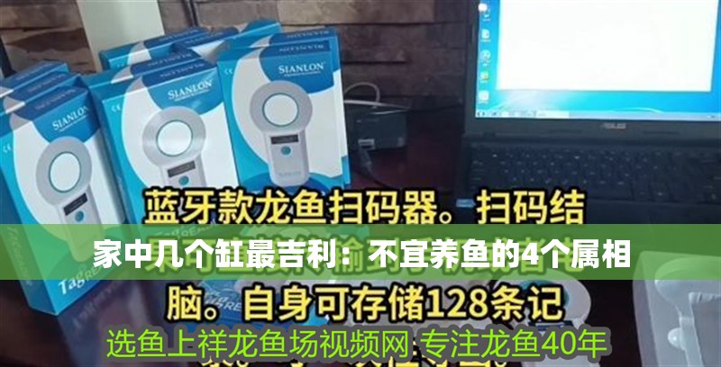 家中幾個缸最吉利：不宜養魚的4個屬相