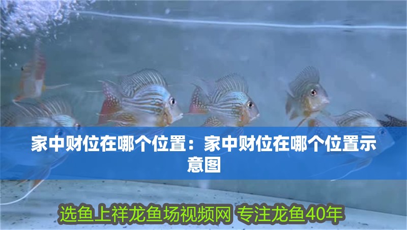家中財位在哪個位置：家中財位在哪個位置示意圖