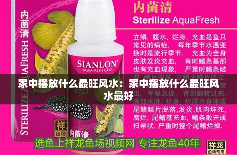 家中擺放什么最旺風(fēng)水：家中擺放什么最旺風(fēng)水最好