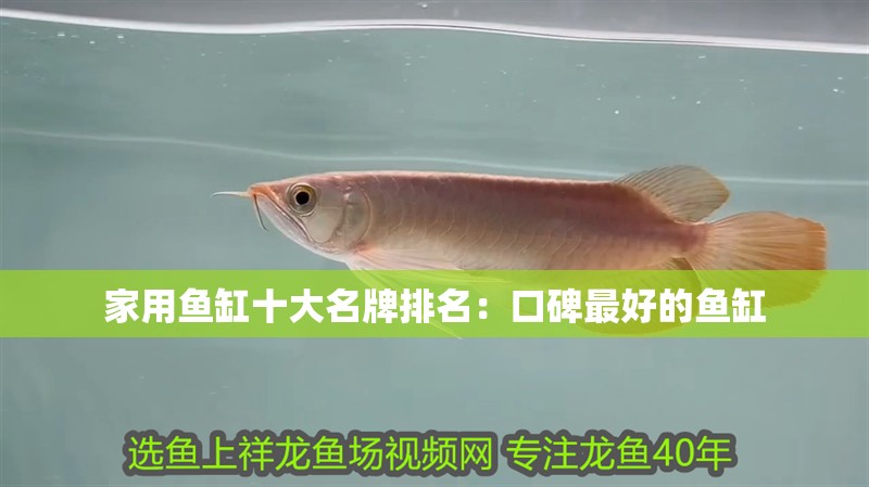 家用魚缸十大名牌排名：口碑最好的魚缸
