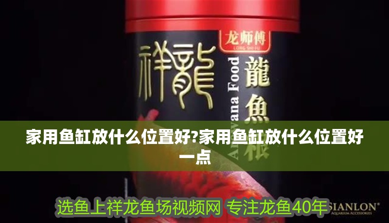 家用魚缸放什么位置好?家用魚缸放什么位置好一點
