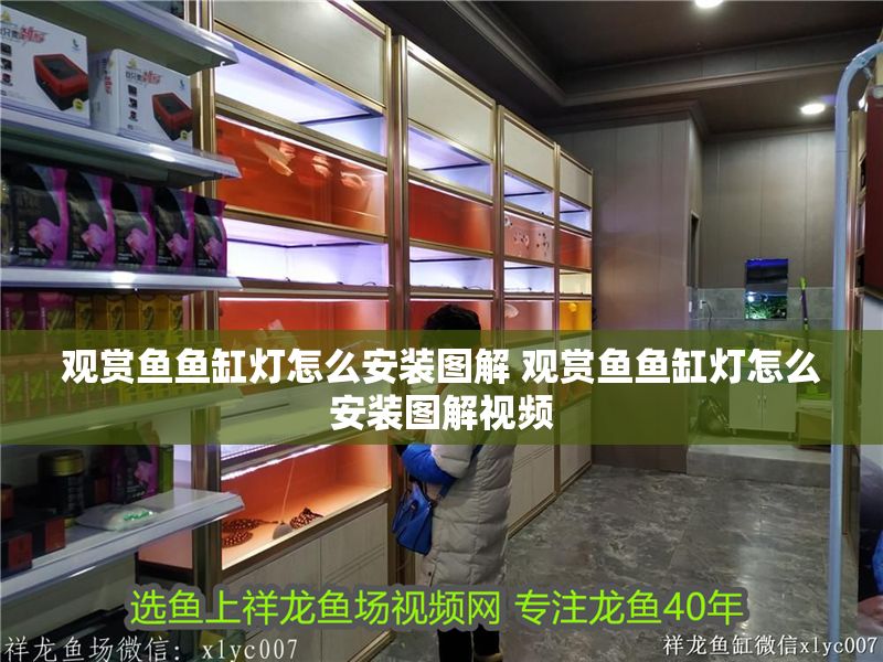 觀賞魚魚缸燈怎么安裝圖解 觀賞魚魚缸燈怎么安裝圖解視頻