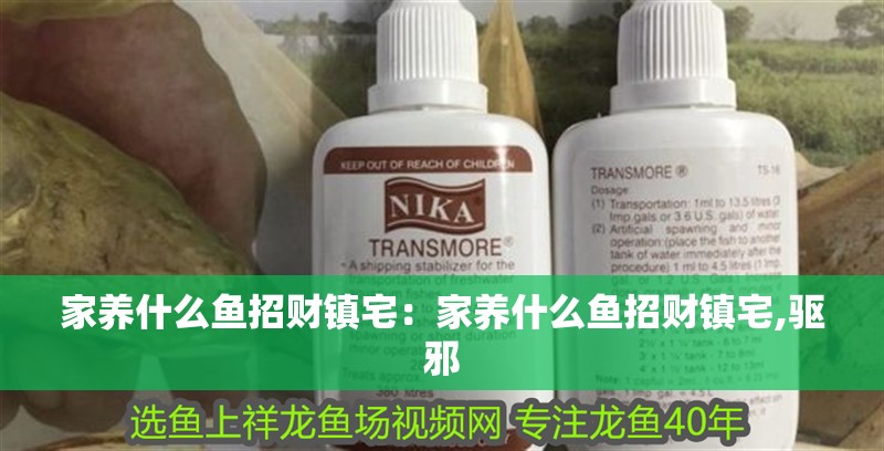 家養什么魚招財鎮宅：家養什么魚招財鎮宅,驅邪