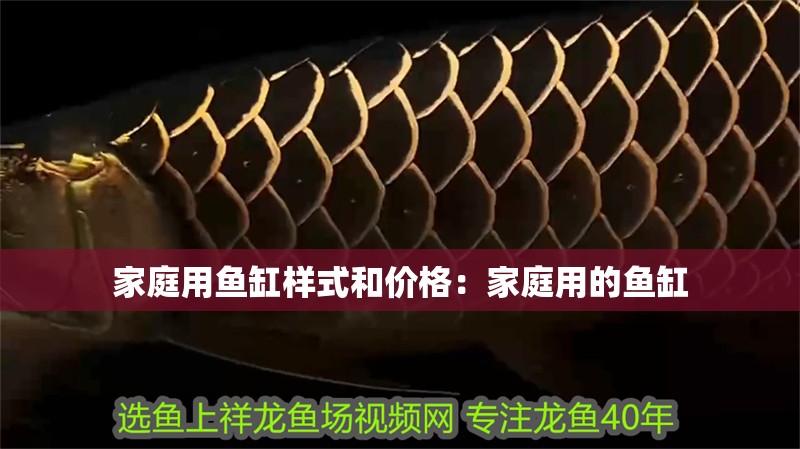 家庭用魚缸樣式和價格：家庭用的魚缸 家庭用魚缸樣式和價格：家庭用的魚缸 龍魚百科 第2張