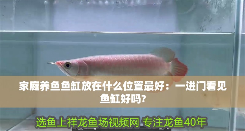 家庭養魚魚缸放在什么位置最好：一進門看見魚缸好嗎?