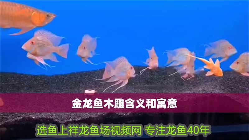 金龍魚(yú)木雕含義和寓意
